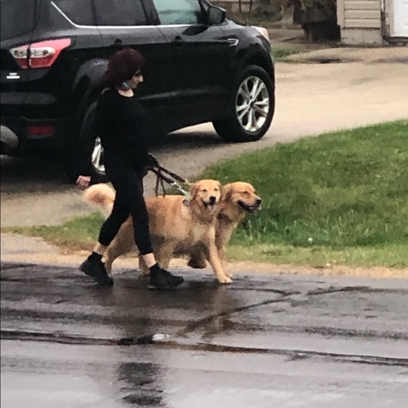 Meet your Posher, Wendy - Picture 4 of 5